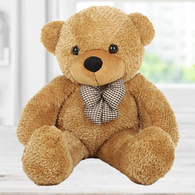 24 Inches Teddy